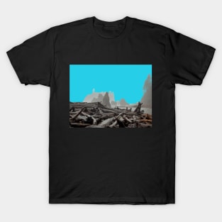 turquoise ruby beach T-Shirt